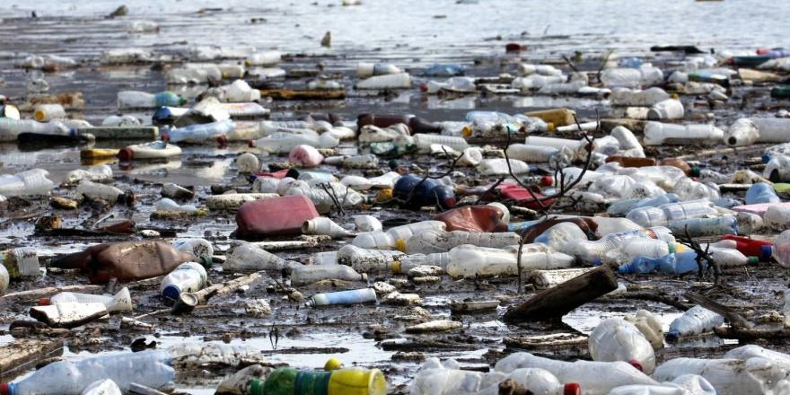 W oceanie jest coraz więcej szkodliwego plastiku.